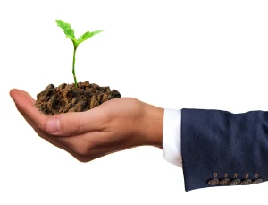 How Deep Should You Plant Seeds in Pots and Beds Now?