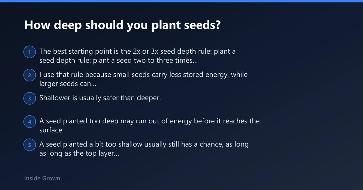 Steps: How deep should you plant seeds?