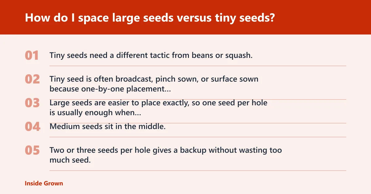 Steps: How do I space large seeds versus tiny seeds?