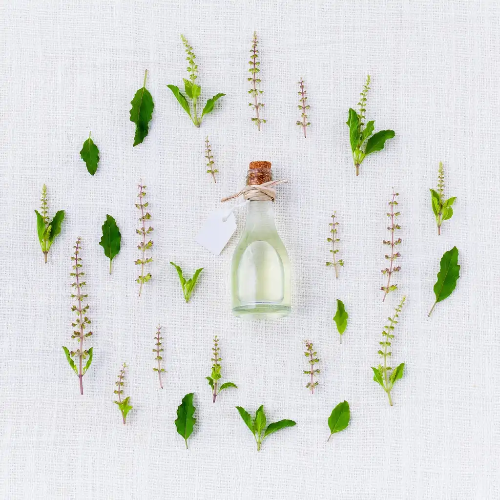 How many basil plants do you need?