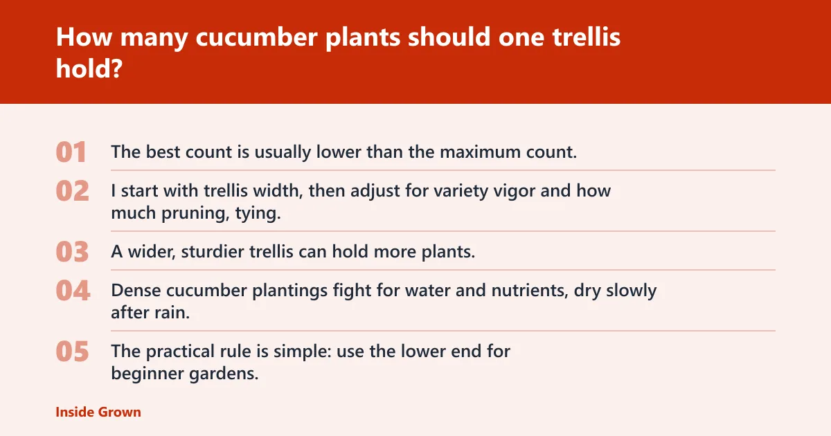 Steps: How many cucumber plants should one trellis hold?