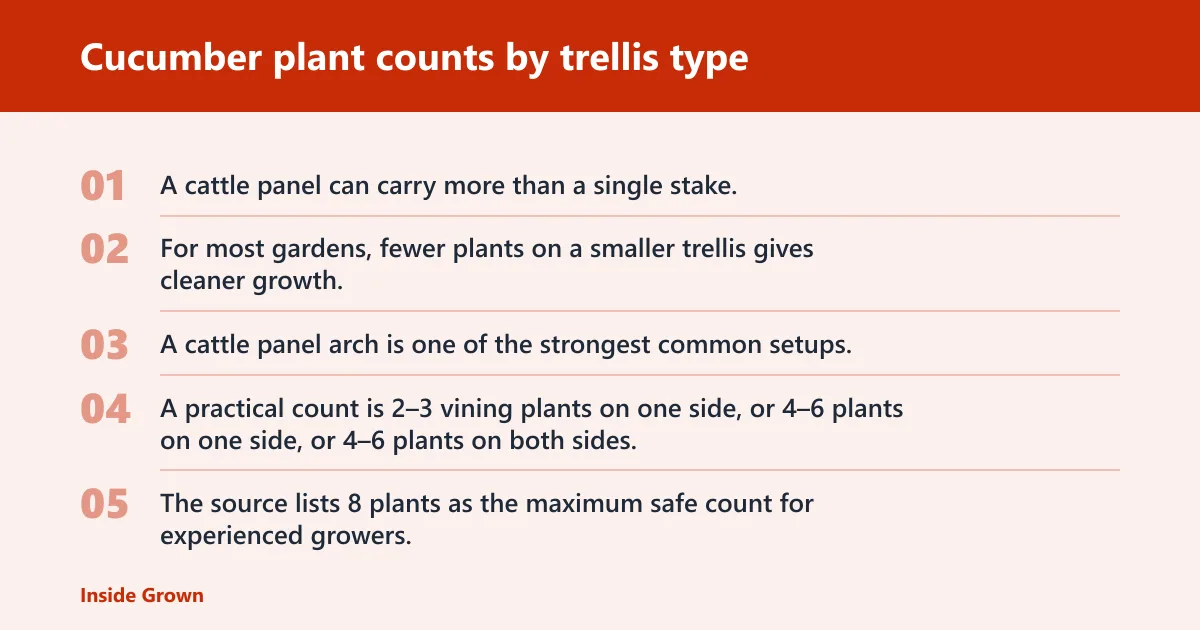Steps: Cucumber plant counts by trellis type