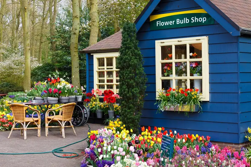 Gardener placing flower bulbs into a terracotta pot on a potting bench