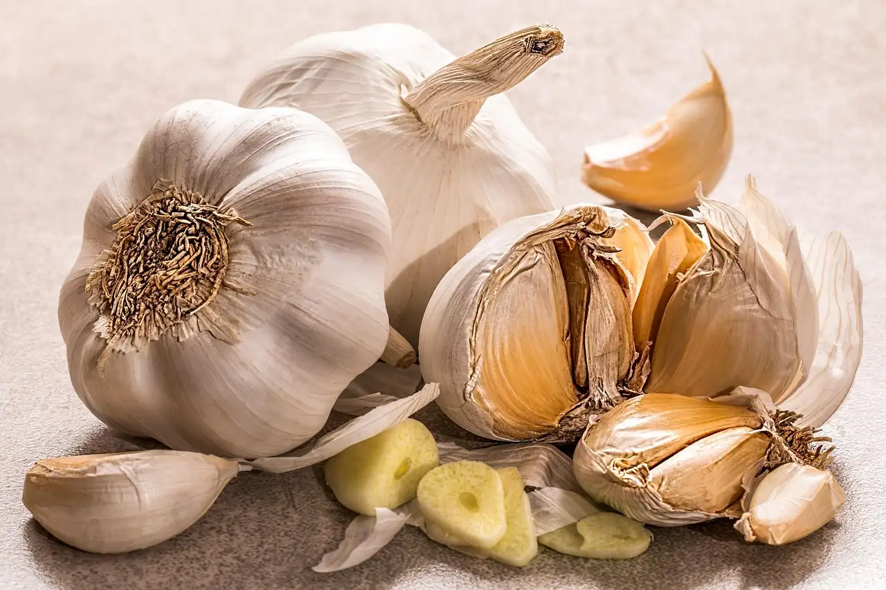 What garlic spacing should you use?