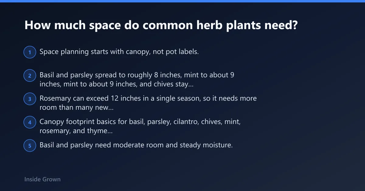 Steps: How much space do common herb plants need?