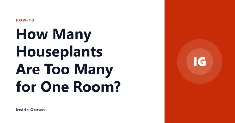 How Many Houseplants Are Too Many for One Room?