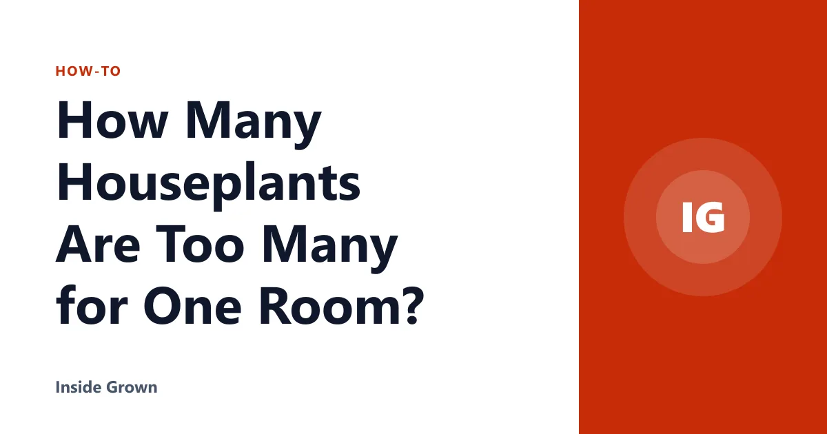 How Many Houseplants Are Too Many for One Room?