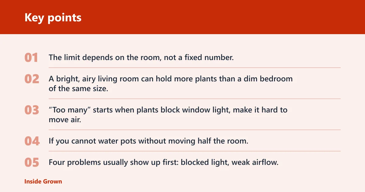 Key points: How many houseplants are too many?
