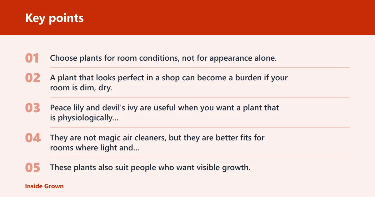Key points: Which plants fit a small room?