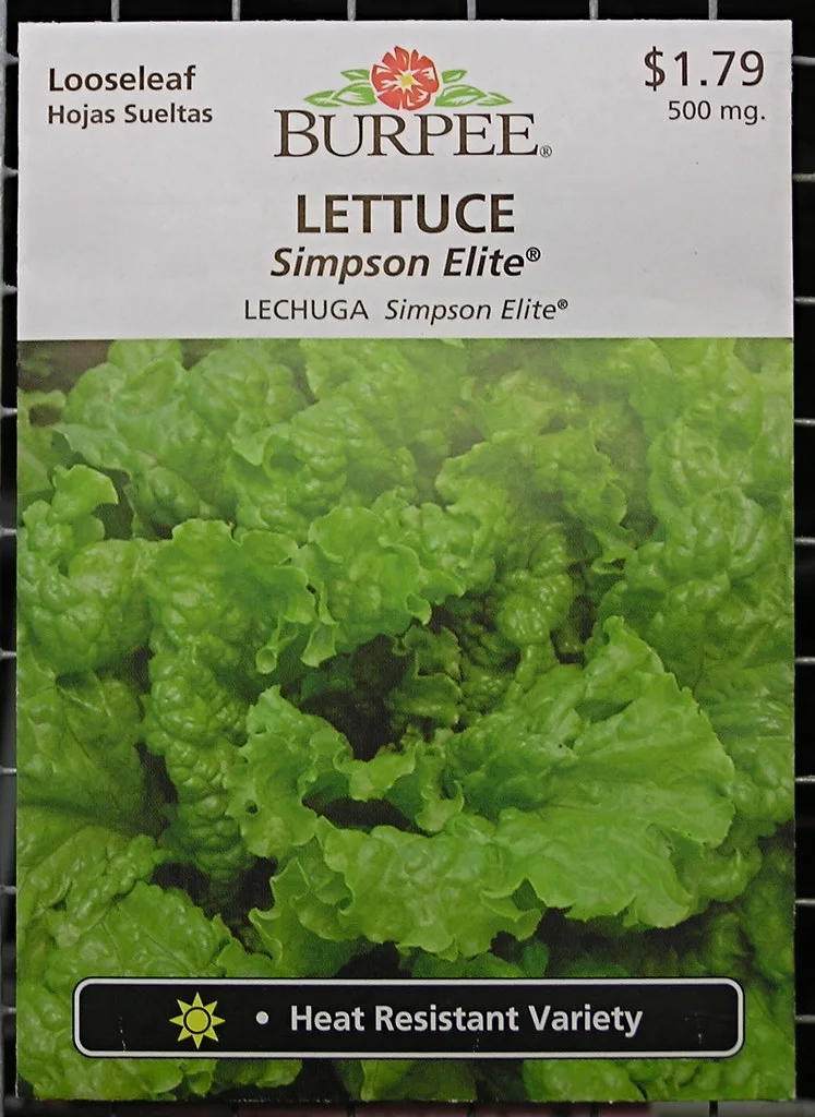 Three lettuce seeds held above a small soil hole in a close-up garden scene
