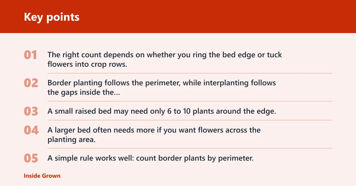 Key points: How many marigolds should you plant around vegetables?