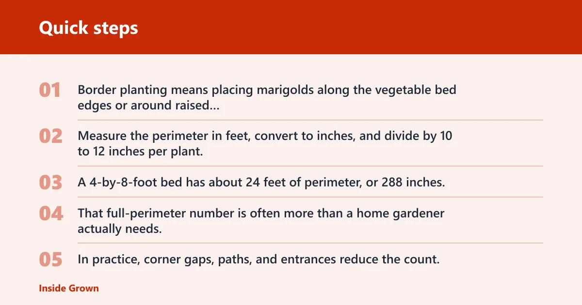 Quick steps: Border planting vs. interplanting: which setup do you need?