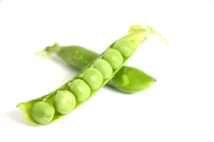 How Many Peas Per Hole Should You Sow?