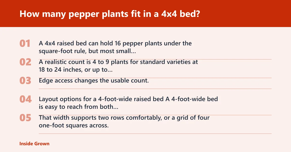 Steps: How many pepper plants fit in a 4x4 bed?