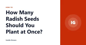 How Many Radish Seeds Should You Plant at Once?