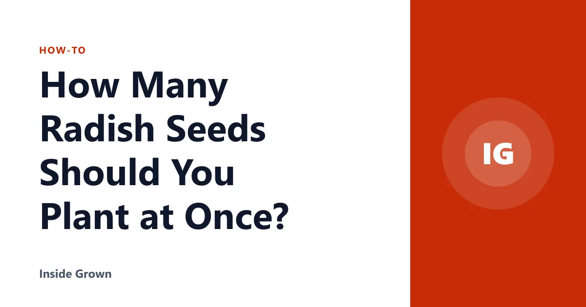 How Many Radish Seeds Should You Plant at Once?