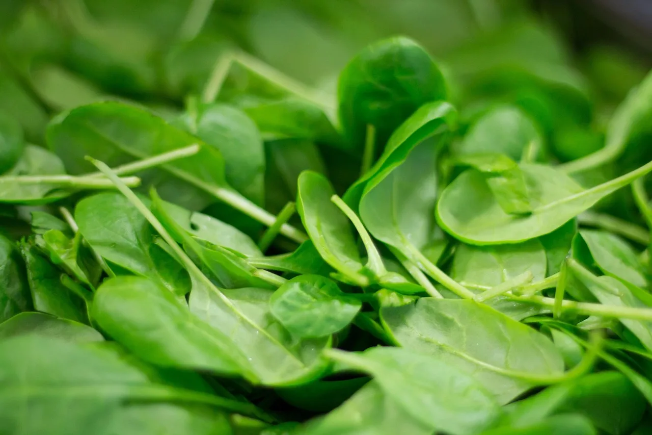 How many spinach plants per square foot?
