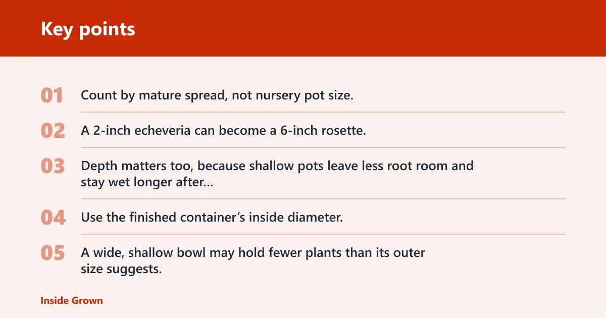 Key points: How container size changes plant count