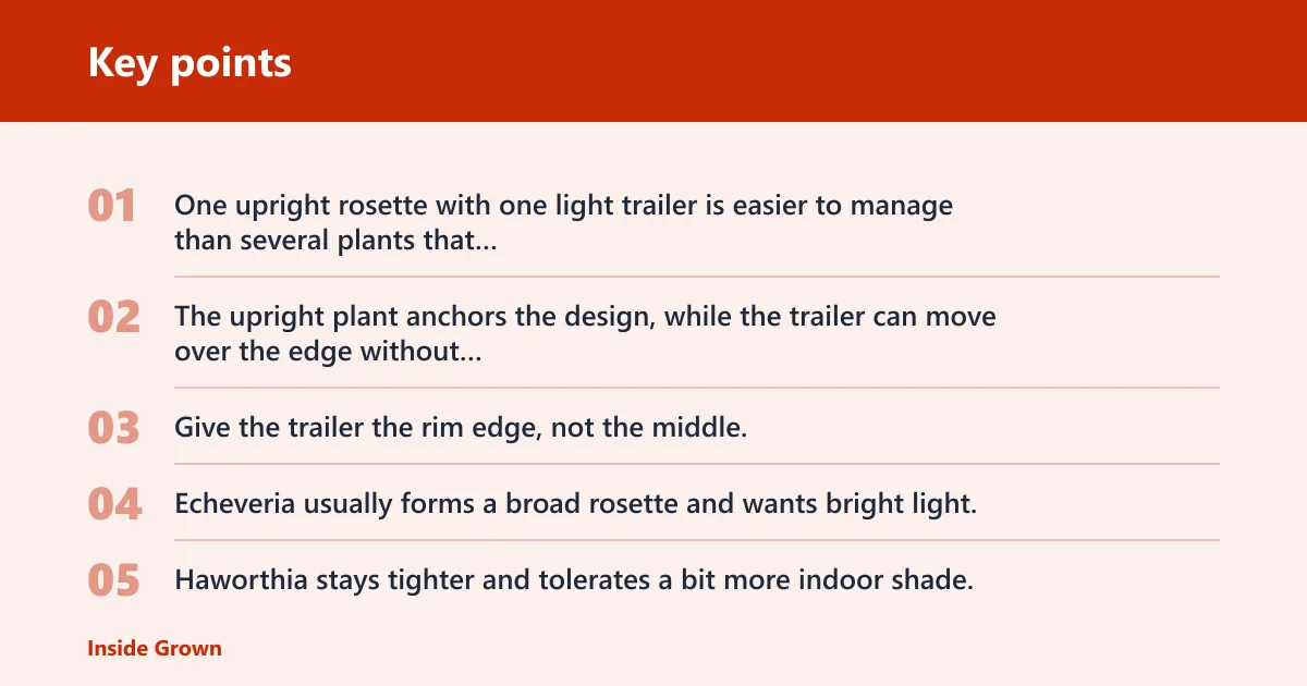 Key points: Can you mix different succulents in one pot?
