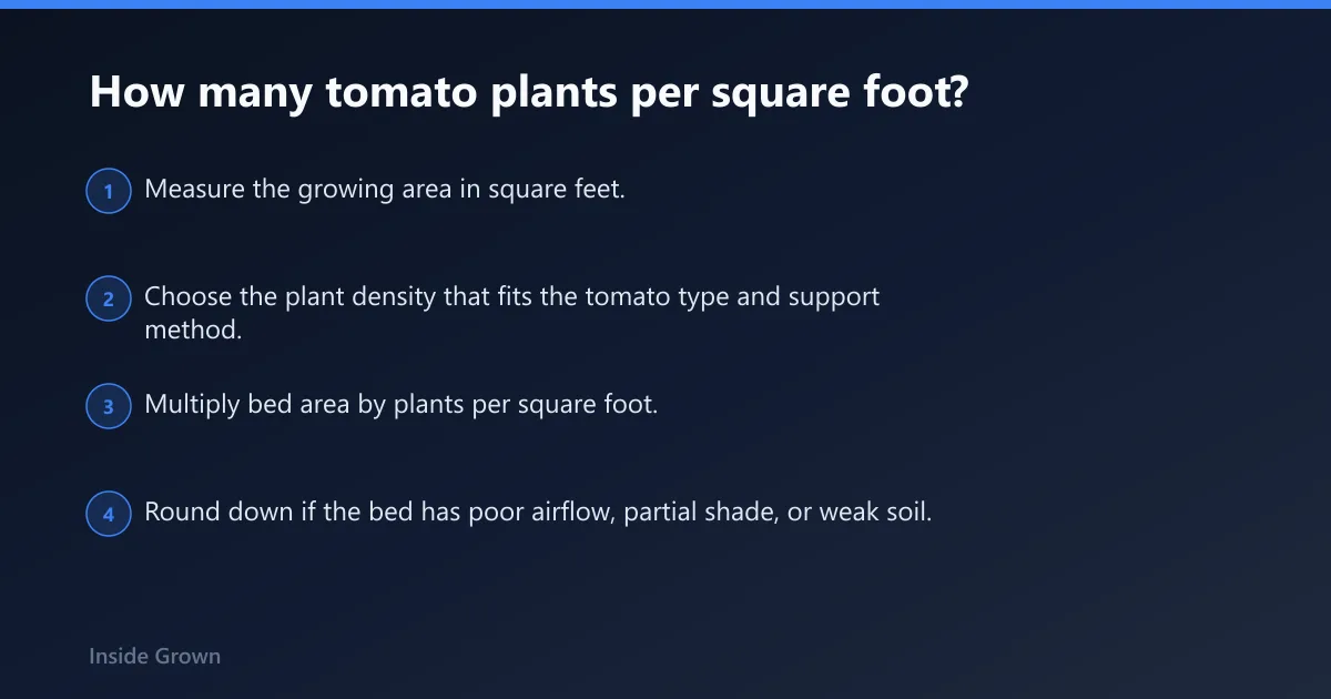 Steps: How many tomato plants per square foot?