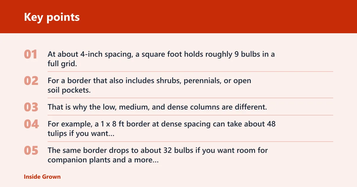 Key points: Tulip border calculator