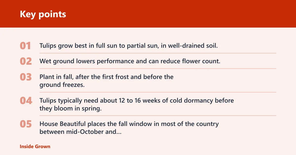Key points: Bulb quality and site conditions