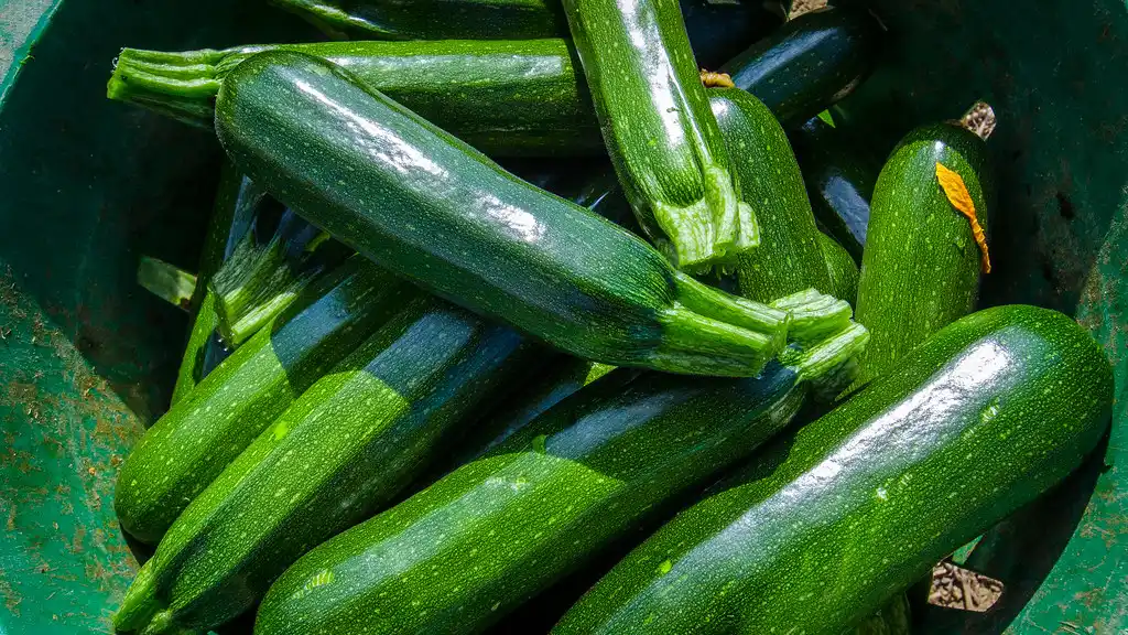 Hands arrange fresh zucchini next to sliced jars on a kitchen counter.
