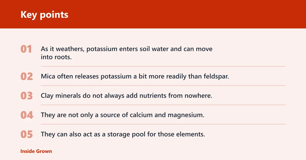 Key points: Which common minerals release which nutrients?