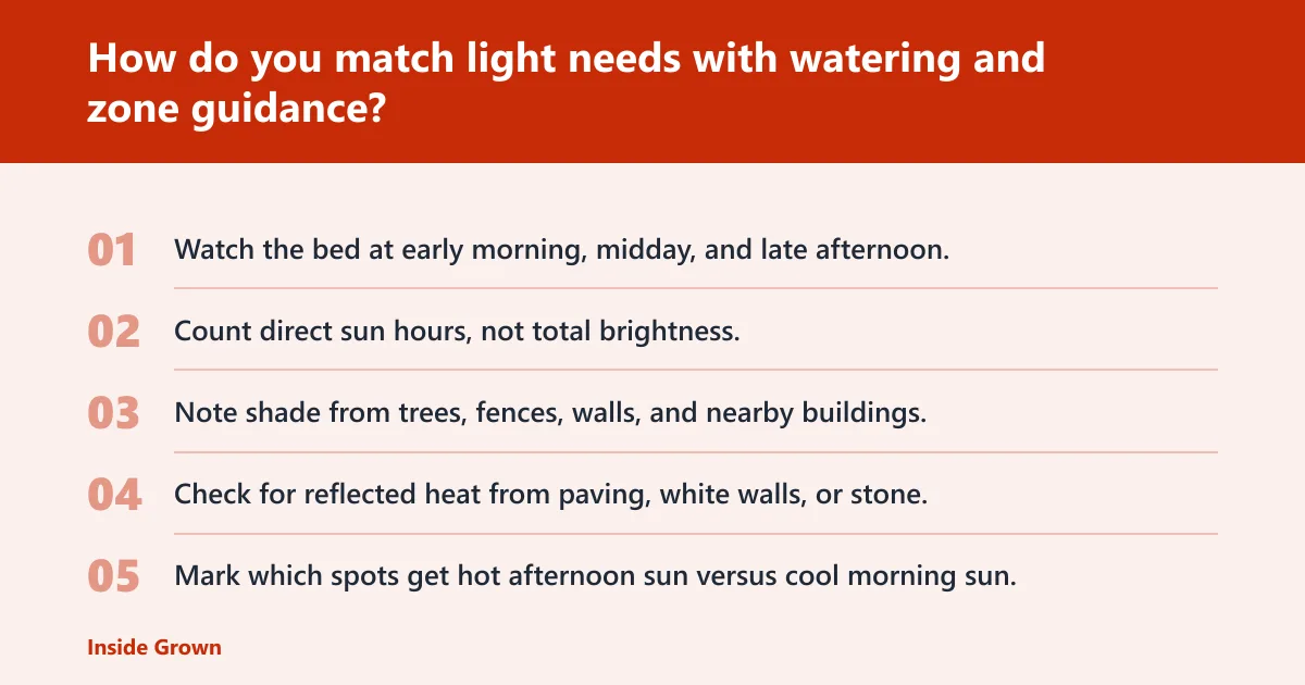 Steps: How do you match light needs with watering and zone guidance?