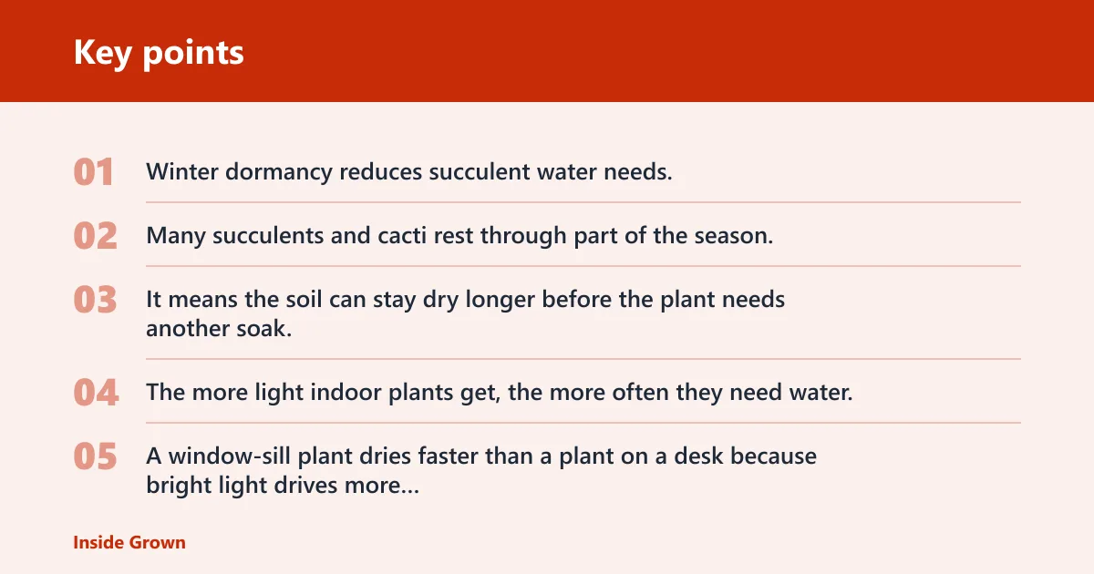 Key points: Why winter changes watering needs