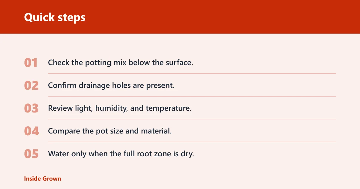 Quick steps: How to tell when to water now