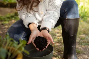 How to Add Organic Matter to Poor Yard Soil