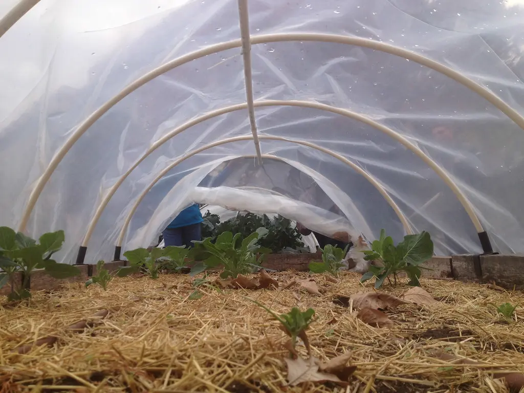 Hands leveling a layered raised bed soil mix with compost and perlite