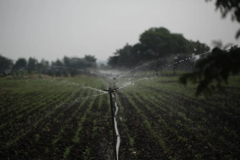 Homeowner timing a hose bib flow test beside a garden irrigation setup
