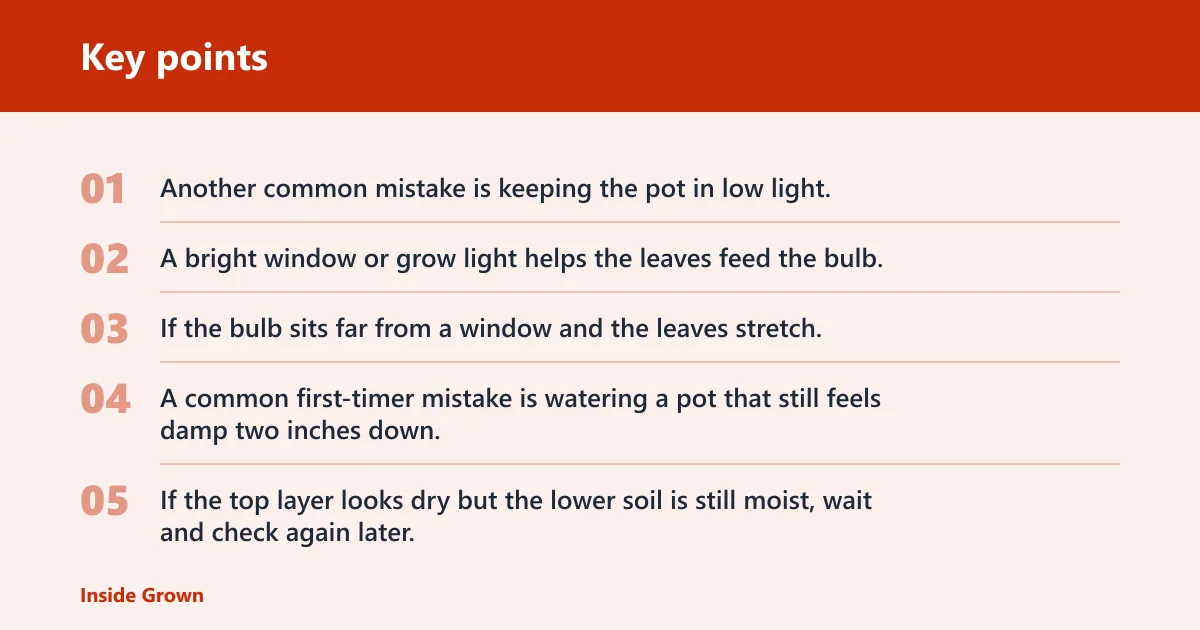 Key points: Common mistakes