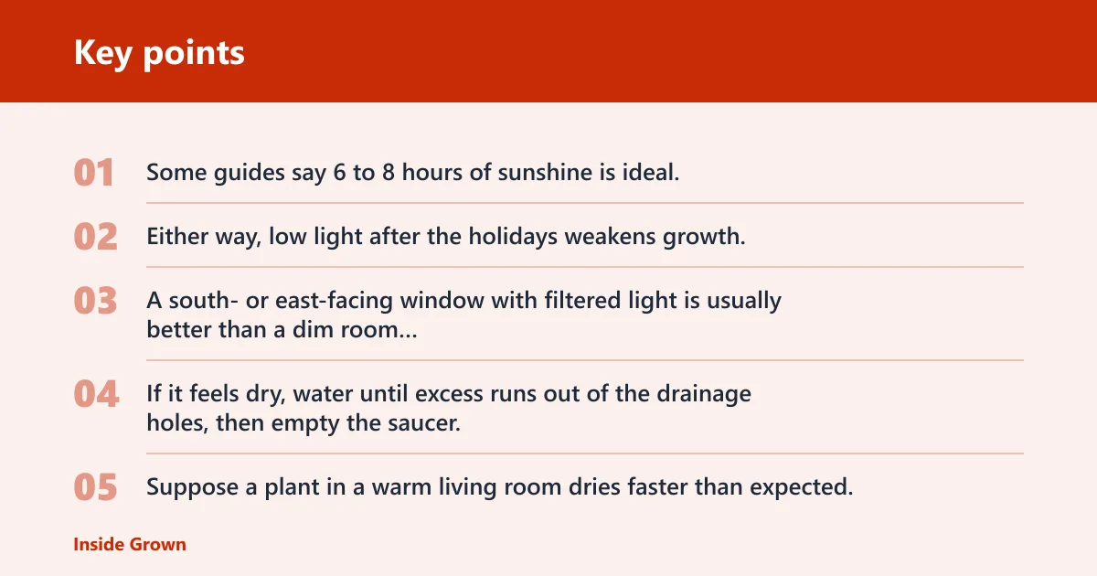 Key points: How should you care for it indoors?