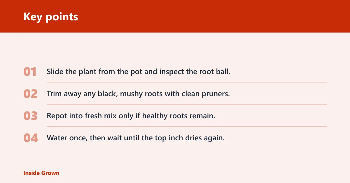 Key points: How do you tell if it needs help?