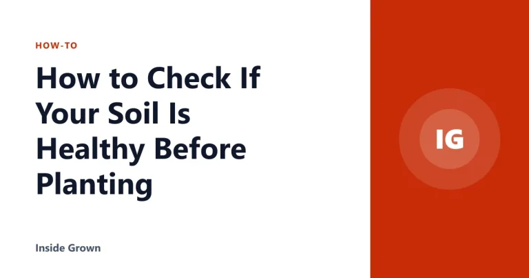 How to Check If Your Soil Is Healthy Before Planting