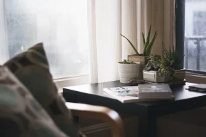 How to Choose Grow Lights for Houseplants
