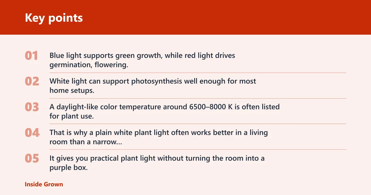 Key points: Which light specs matter most?