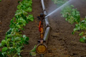 How to Choose Irrigation Tubing Size for a Small Garden