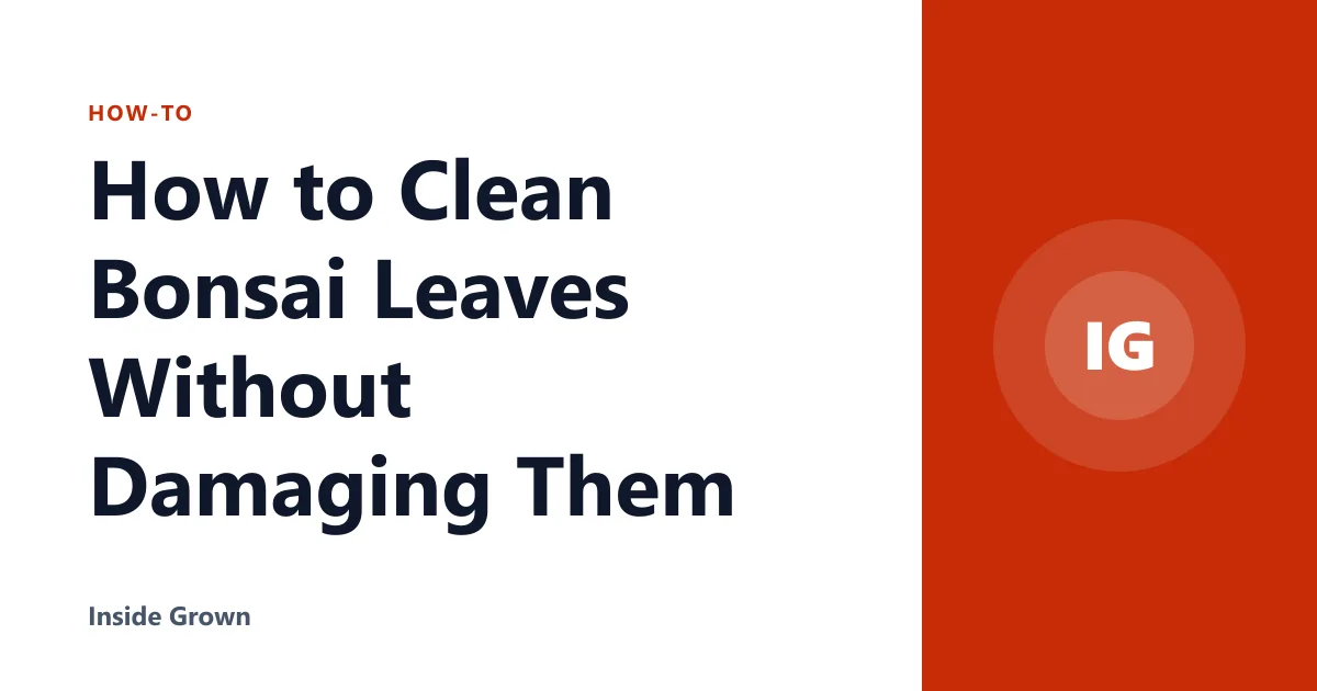 How to Clean Bonsai Leaves Without Damaging Them
