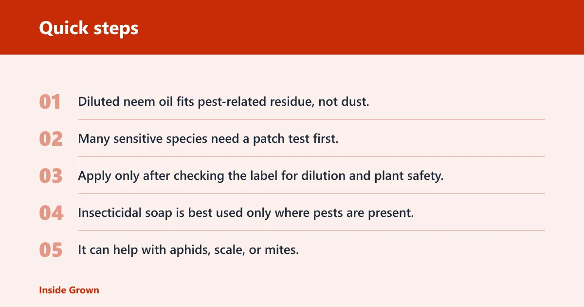 Quick steps: How do you clean sticky bonsai leaves?