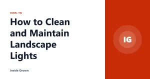 How to Clean and Maintain Landscape Lights