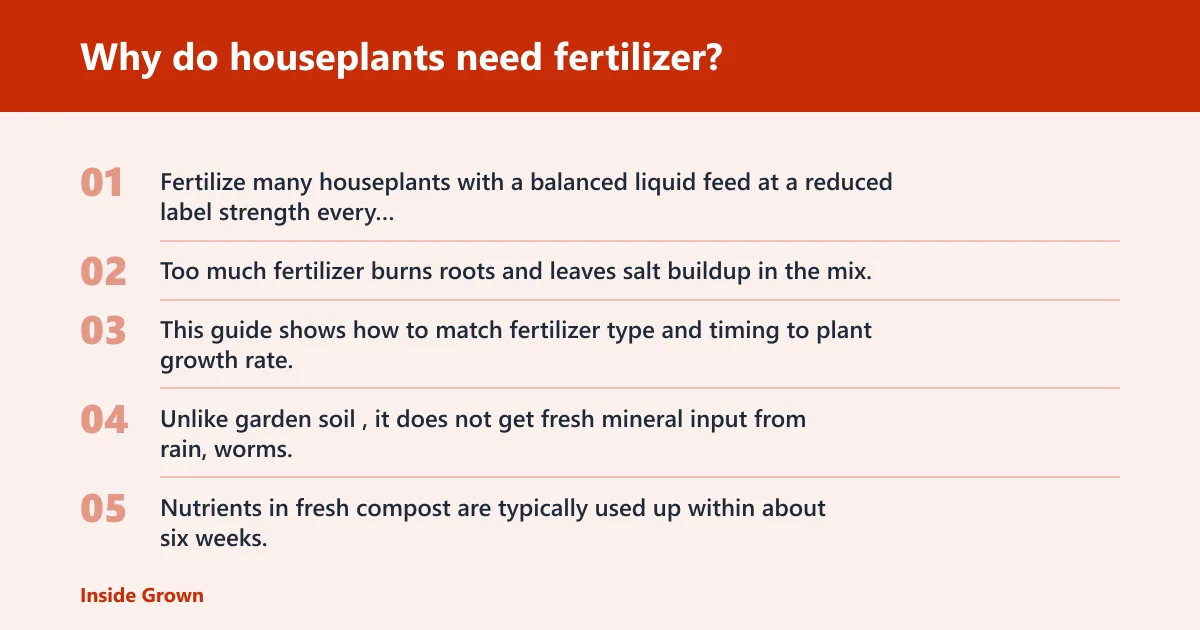 Steps: Why do houseplants need fertilizer?