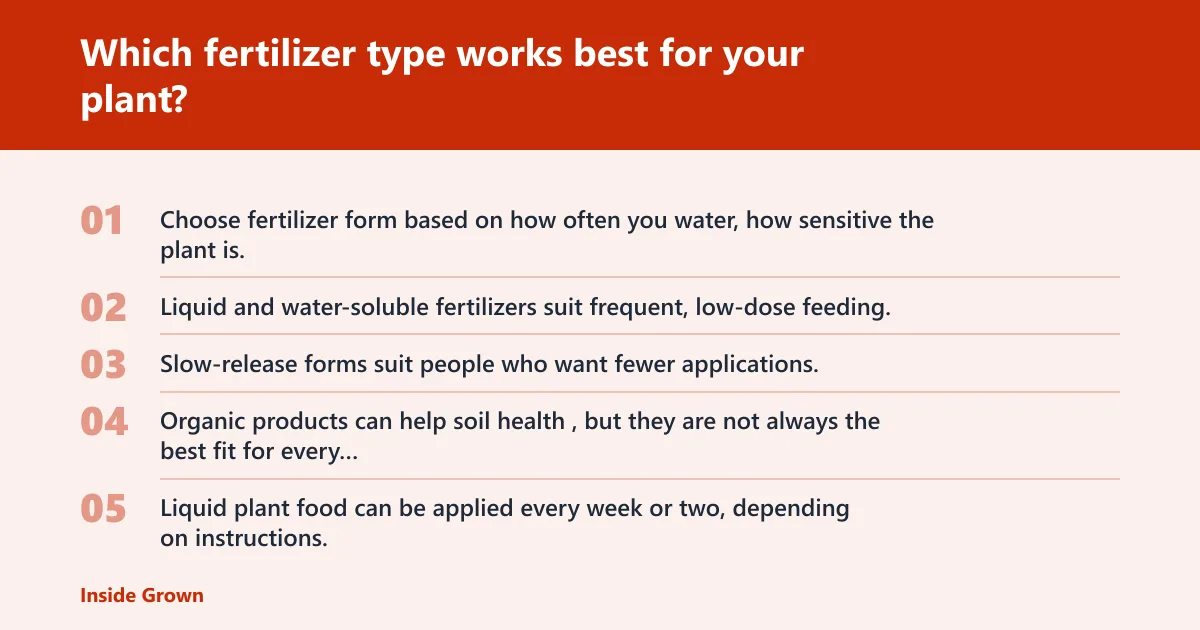 Steps: Which fertilizer type works best for your plant?