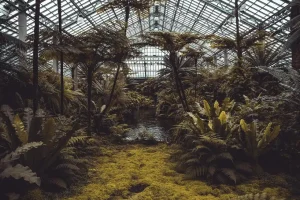 Best Season to Visit a Botanical Garden: How to Choose