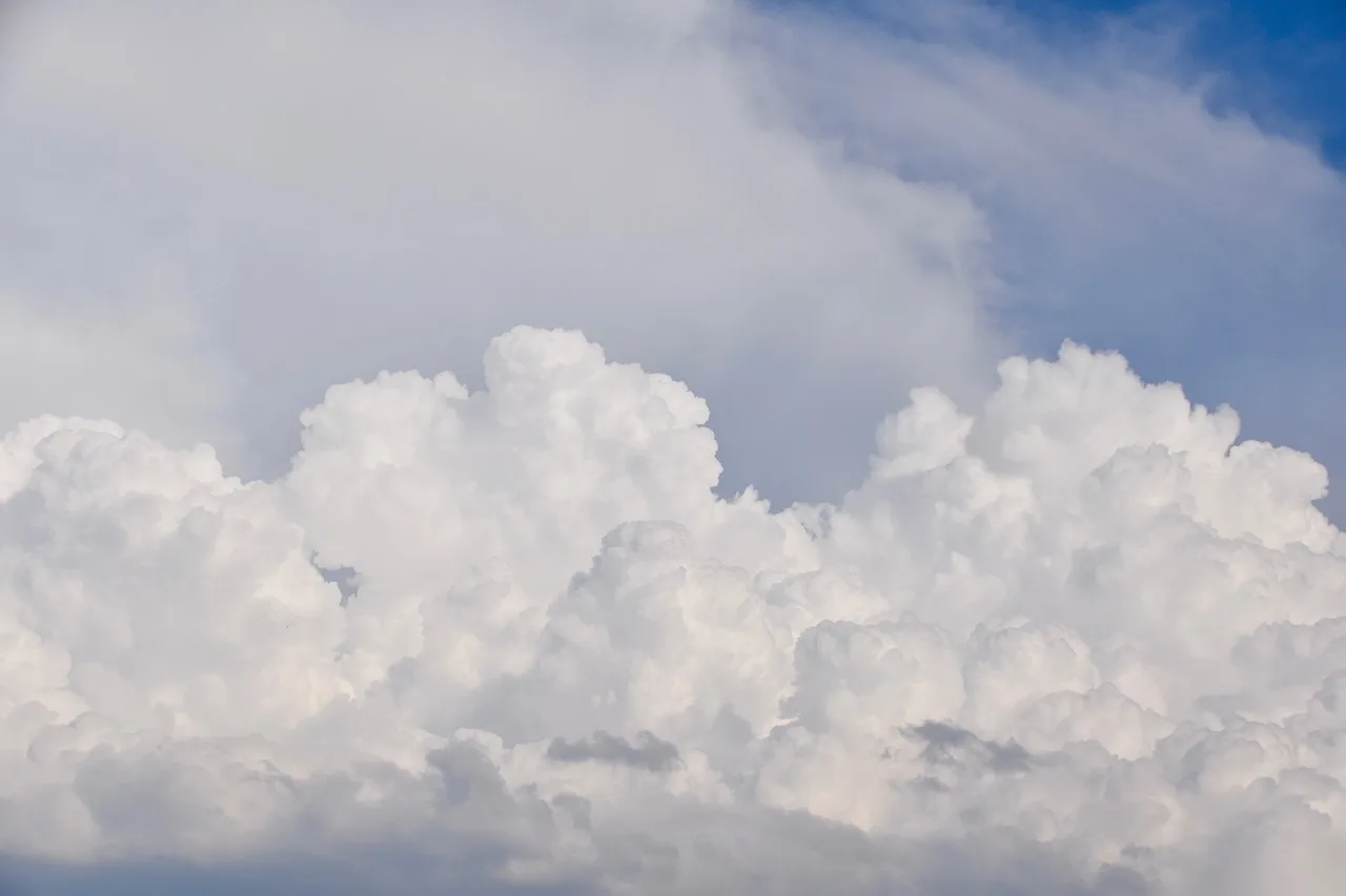 How does local weather affect your visit?