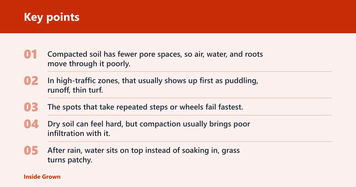 Key points: What compacted soil looks like in busy yard zones