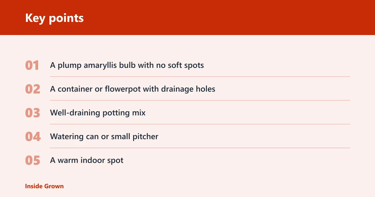 Key points: How amaryllis forcing works